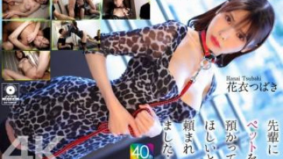 CRNX-254 - [4K] 선배가 자신의 애완동물을 돌봐달라고 부탁했어요... 하나고로모 츠바키