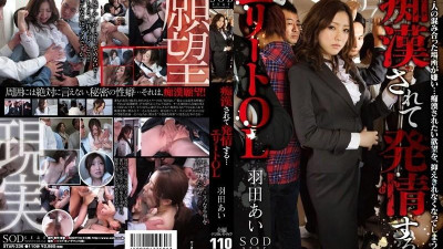 STAR-336 성추행 당해 발정… 엘리트 OL 하네다 아이