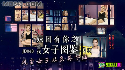 Jingdong Films JD043. The Girls&#039; Guide to the Girls in the Girls&#039; Group. A prostitute turns good and goes back to the adult industry