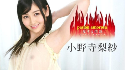 Caribbeancom-030317-385 열정 아모로사 ~Love Passion 5~